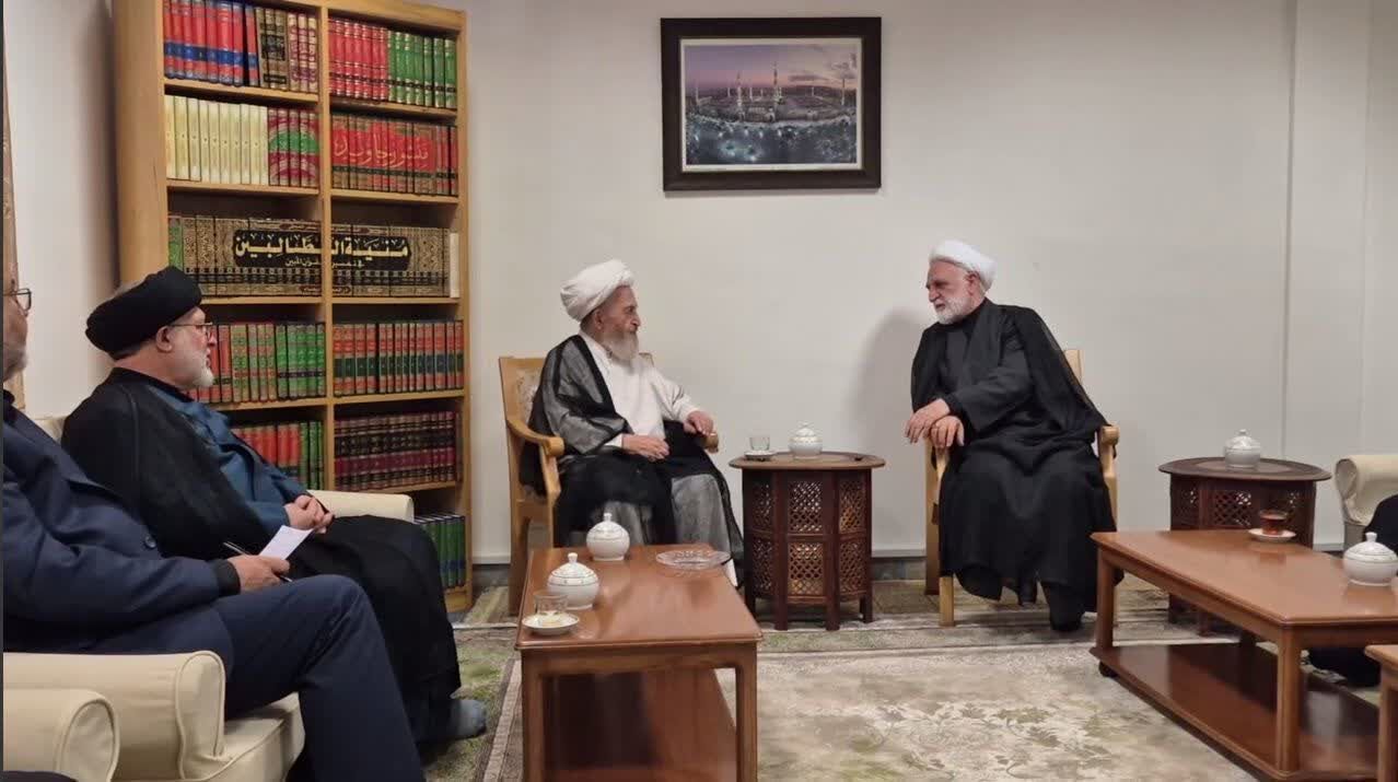 تاکید آیتالله سبحانی بر توجه حداکثری دستگاه قضا به صلح و سازش