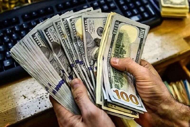 شناسایی ۵۱ صفحه و توقیف ۲۴ صفحه مجازی فعال در قیمت‌گذاری کاذب ارز